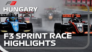 [Live] Formula 2/F3 Hungarian GP Race 2