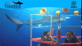 DIA 2 Expo Tiburon266