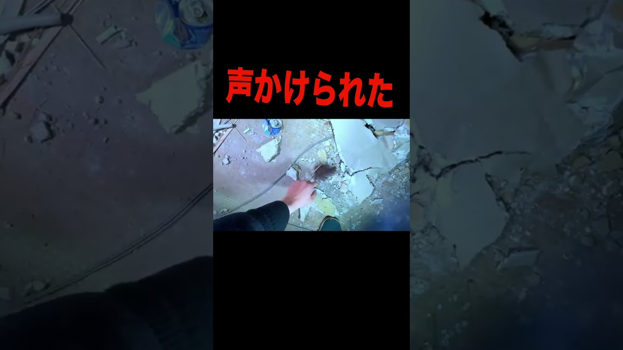 怪しい集団 #恐怖 #怪現象 #心霊スポット #ホラー