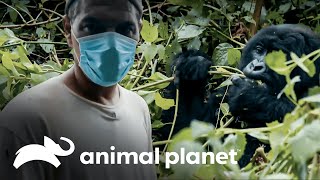 Thumbnail del capítulo