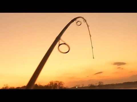 Fish With Cinnamon, Catch Clean Cook