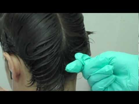 What do lice eggs (nits) look like?