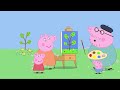 Vacanța Lui Polly Purcelușa Peppa Sezon 2 Episoade Complete
