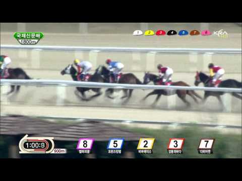 Gukje Sinmun Stakes - May 5, 2013