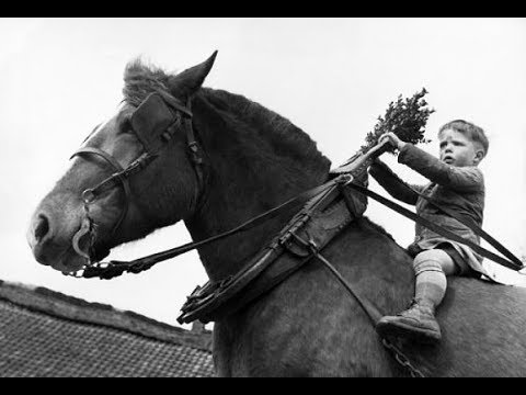 De Leidse Sleuteltjes - Domme Krelis ( 1967 )