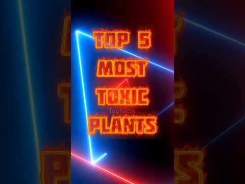 Top 5 Most toxic plants in the world 👾 #toxicplants #poisonous