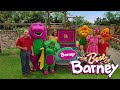 The Best Of Barney Barney SUBSCRIBE