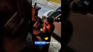 Download lagu #okinawa #thingstodoinokinawa mp3