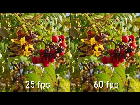25 fps vs 60 fps