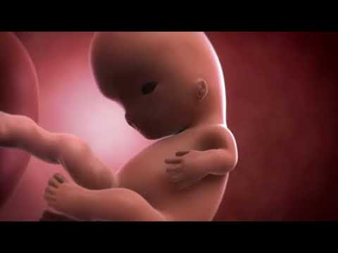 Your baby at 9 weeks | Week-by-week pregnancy | MadeForMums