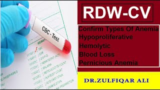 RDW-CV  Blood Test | Types Of Anemia  | Explained in Urdu/Hindi