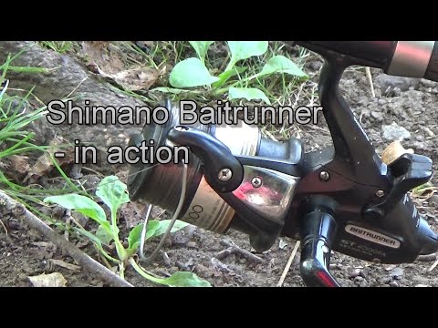 Baitrunner in action