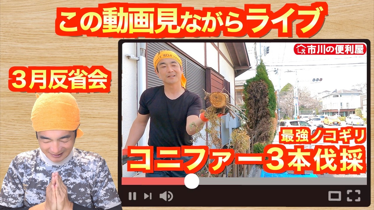 「【３月反省会ライブ配信】コニファー伐採動画見ながらライブ｜千葉県市川市の便利屋！各作業料一覧、お問い合わせ先は概要欄をご覧下さい！」のコピー