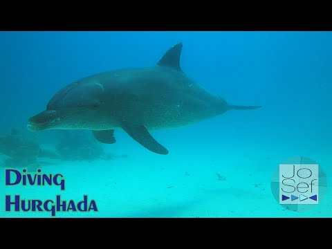 Scuba Diving Hurghada | Red Sea Egypt | 2025