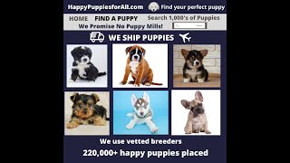 What are websites that sell puppies?