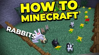 Getting EVERY Rabbit in Minecraft - How To Minecraft #71