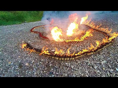 Anakonda ze sirek  15 000 sirek