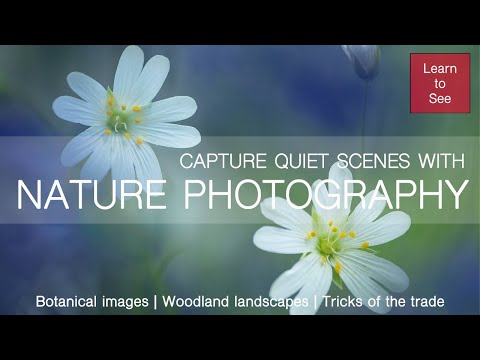 Join Me and Capture Quiet Scenes with Nature Photography
