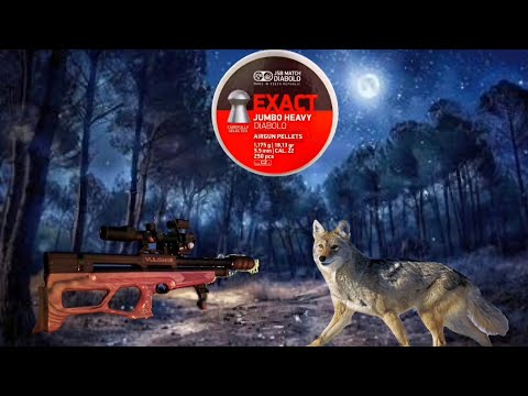 Coyotes Hunting Pest control  Pcp Air Gun .22