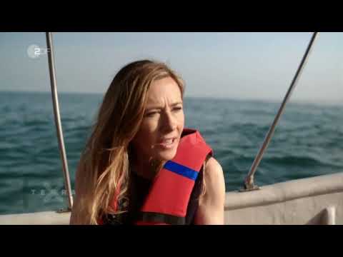 Terra X  "Humboldt und die Neuentdeckung der Natur"