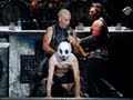 Rammstein - Wacken 2013 // Wiener Blut - Du ...