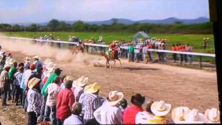 Grupo laberinto- La coqueta