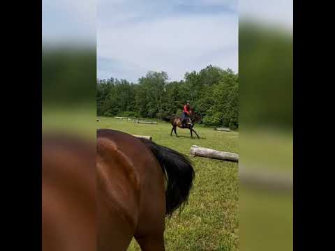 Sunnymead June 6 2021