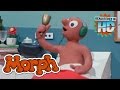 THE DAY MORPH WAS ILL AMAZING ADVENTURES OF MORPH EP 05