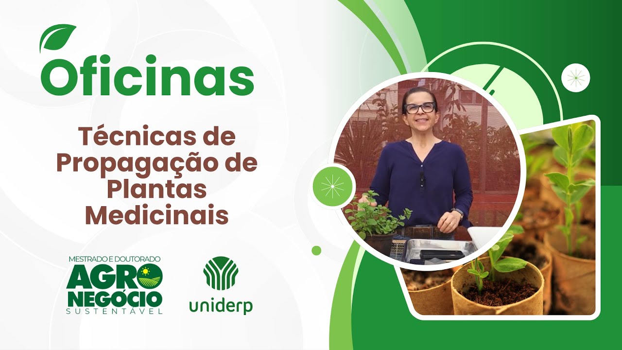 Técnicas de Propagação de Plantas Medicinais