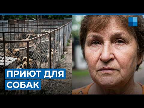 «Люди — это самое тяжелое». Пенсионерка почти 20 лет в приюте: как она выживает с сотнями собак