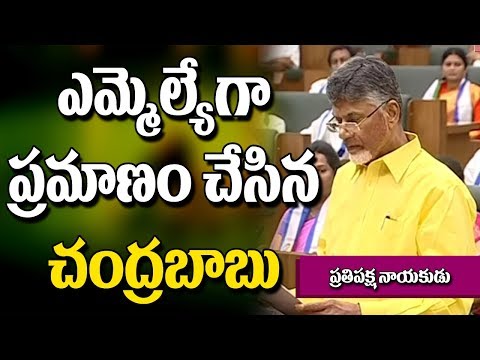 AP TDP chief Chandrababu Naidu Takes Oath as MLA