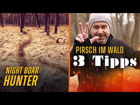 Stalking in the woods at night - What you need to know! The 3 best tips from night boar hunter Ch...