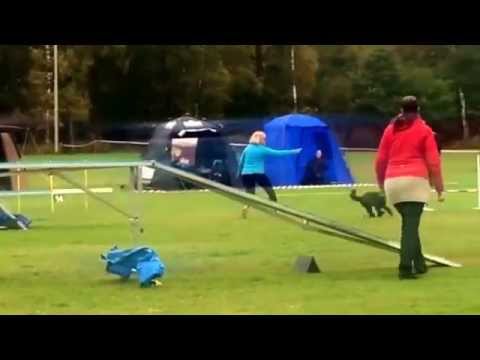 Gerda, agkl 1, Halmstad, 17/10 2015