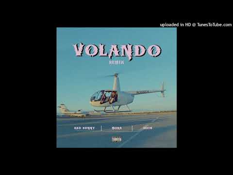 Mora x Bad Bunny x Sech - Volando Remix (Letra_Lyrics)