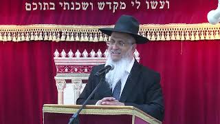 007רוממות התפילה נקיון הגוף בתפילה (הרב יורם סרי) - התמונה מוצגת ישירות מתוך אתר האינטרנט יוטיוב. זכויות היוצרים בתמונה שייכות ליוצרה. קישור קרדיט למקור התוכן נמצא בתוך דף הסרטון