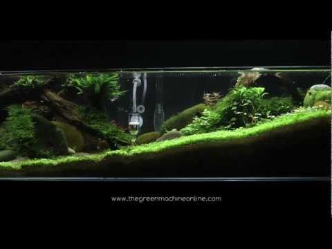 'Tributary' aquascape by James Findley