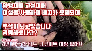 양액재배(고설재배)에 미생물을 사용하면 배지가 부식에 되어 오래 못 쓴다고??? 그것이 알고싶다 저 미생물 …