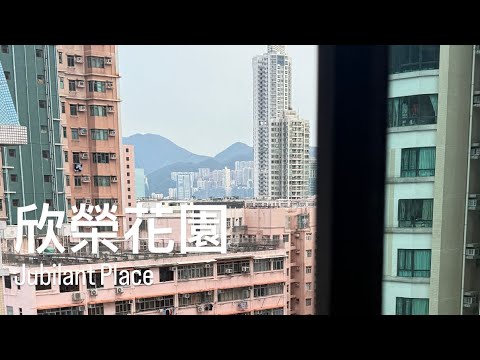欣荣花园 Youtube Video 欣荣花园 Youtube Video