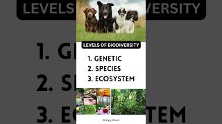 Levels of biodiversity| Genetic Diversity | Species diversity | Ecosystem Diversity