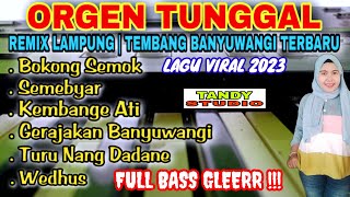 Download lagu Orgen Tunggal Remix Lampung full bass glerr❗Tembang banyuwangi terbaru@tandystudio6343 mp3