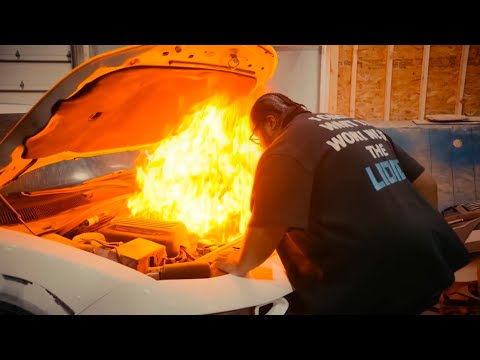 Bfb Da Packman -BIRD BATH | 🎥 JR DIGITAL