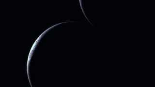 Banco del Mutuo Soccorso-Danza dei grandi rettili