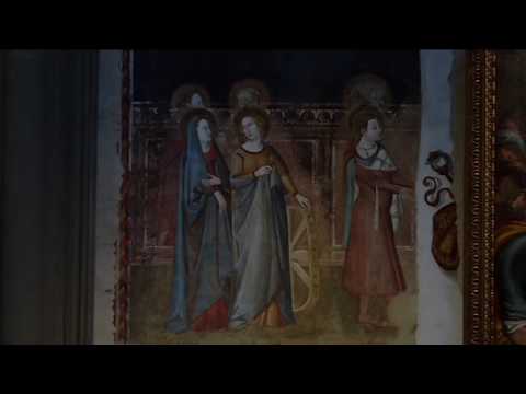 2017-02-11 FIRENZE - AFFRESCHI RITROVATI NELLA BASILICA DI S.M.NOVELLA