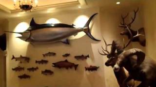 Tour My Friend Toms House