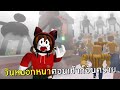 เมโสแฟต ยี่ห้อไหนดี