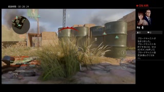 適当にフレとww2