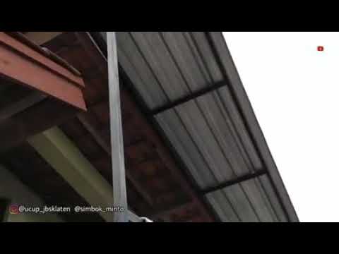 VIDIO LUCU MBAH MINTO DIBERI SAYUR SAMA TUKANG MASAKNYA