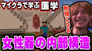 【医学・芸術】マイクラで女性器の内部構造を学ぶおえちゃん【2025/04/10】