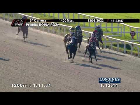 220813 c06 Boina Roja/ ALTA GAMA