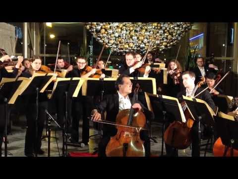 Yo Yo Ma and the Chicago Civic Orchestra pop-up concert at The Shops at North Bridge 12.10.13